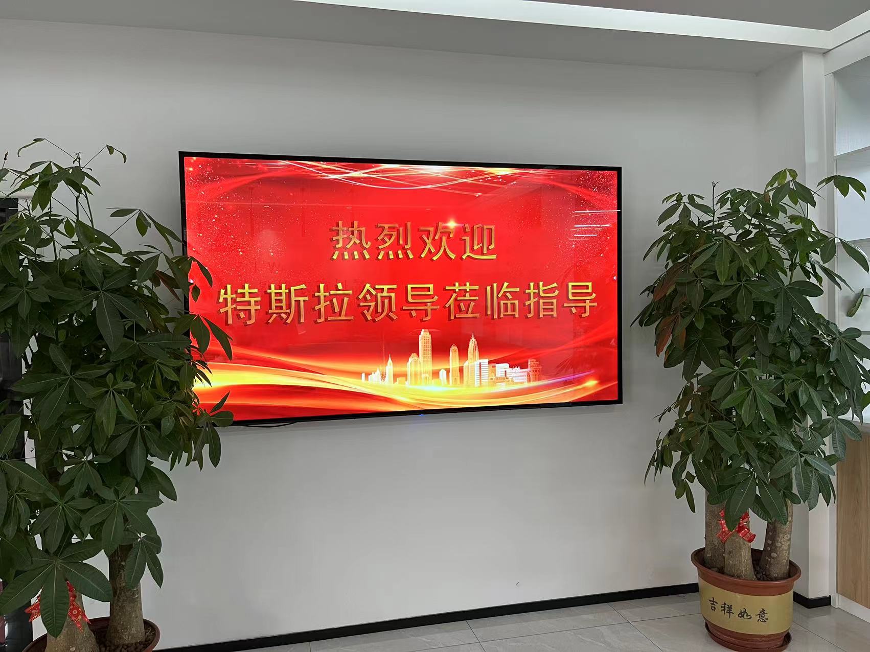 特斯拉领导莅临万斯得考察