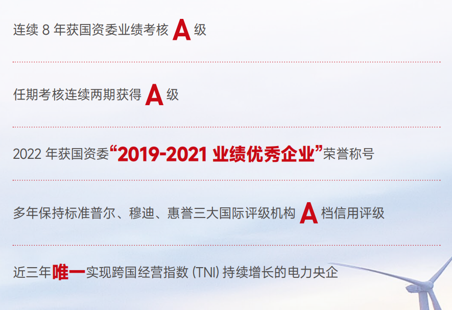 国家电投的“一带一路”(图1)